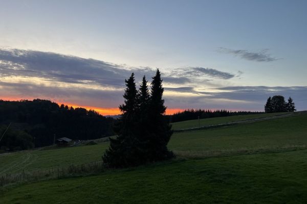sonnenaufgang849A02ED-BFD8-CF47-4151-B31E043DCBD1.jpg